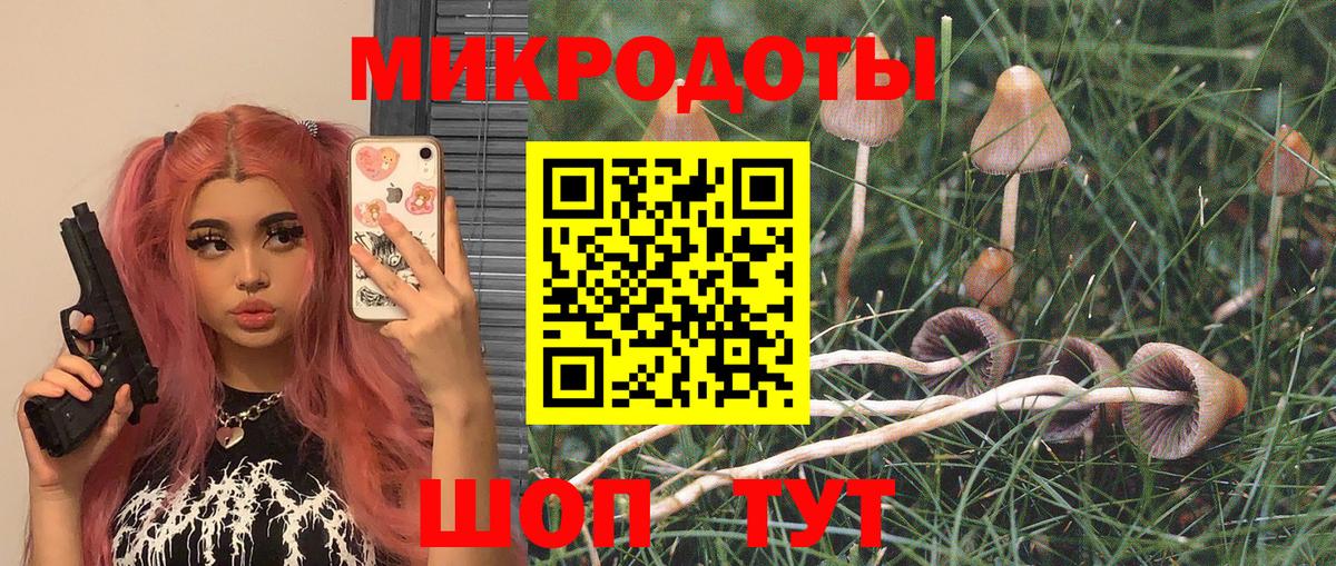 Советская Гавань  Псилоцибиновые грибы Psilocybine cubensis  где продают   Вход с VPN 